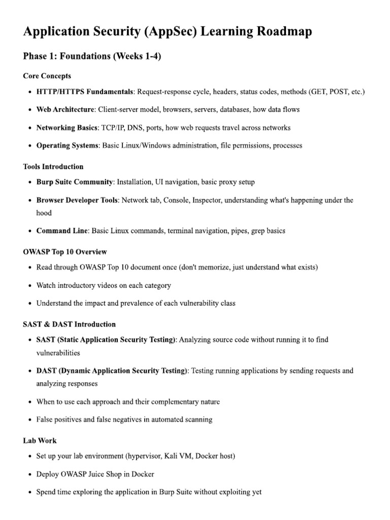 App Sec Project Learning Steps 2 | PDF