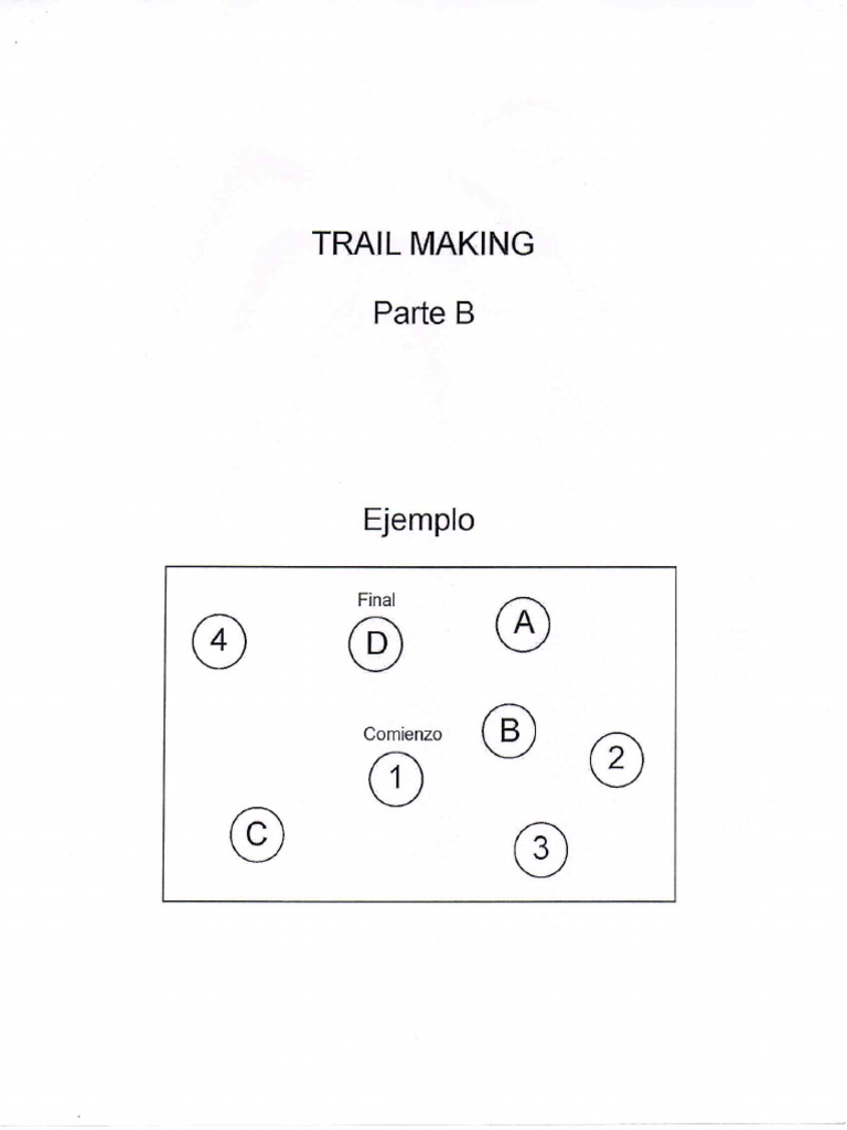 TMT B+Ejemplo | PDF