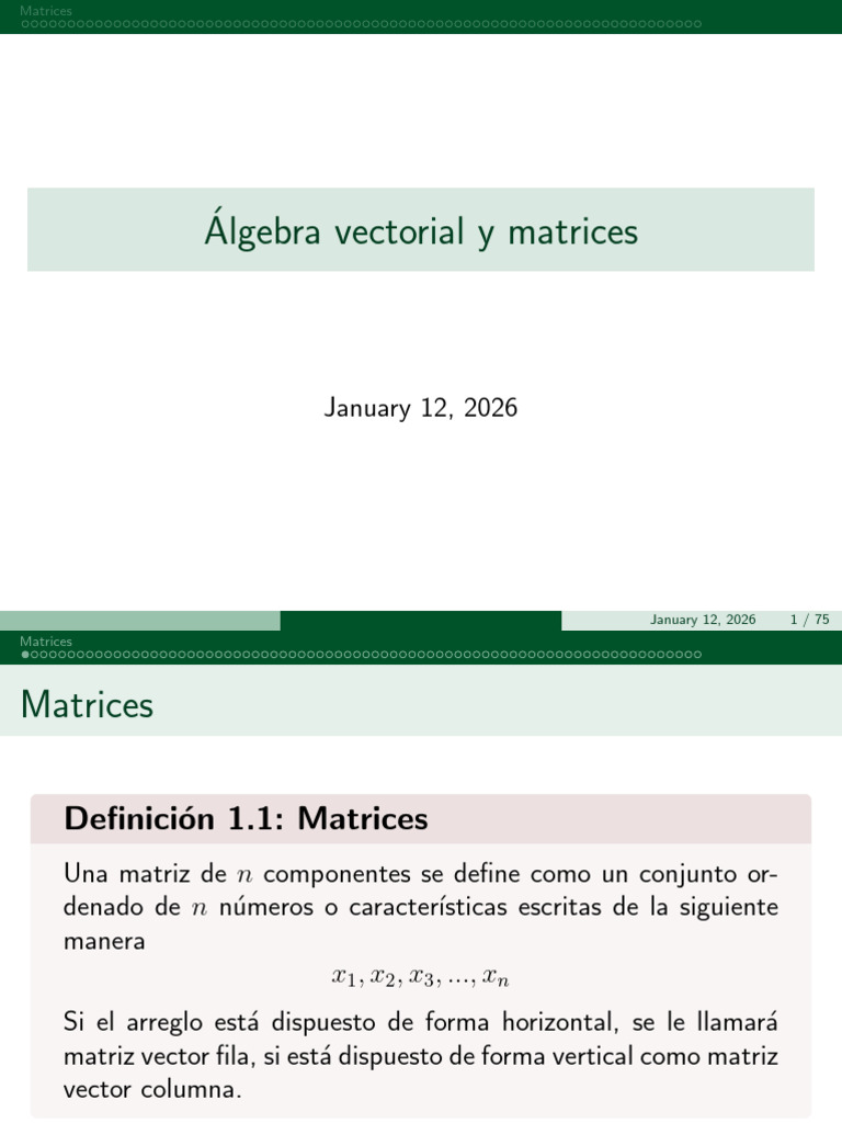 Matrices y Sus Operaciones | PDF | Matriz (Matemáticas) | Determinante