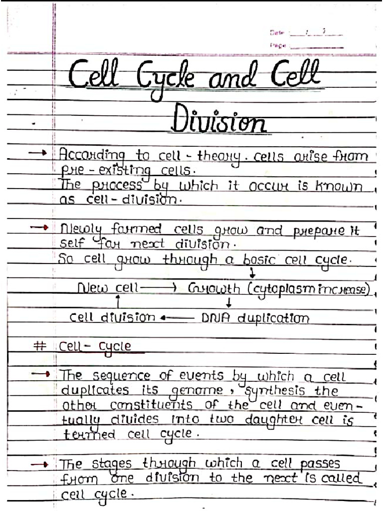 cell division and cell cycle 11th | PDF