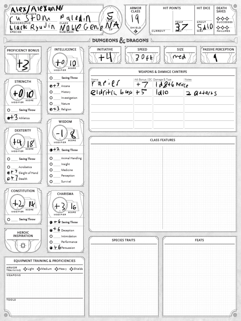 Comprehensive Character Sheet Template | PDF | Gaming | Tabletop Games