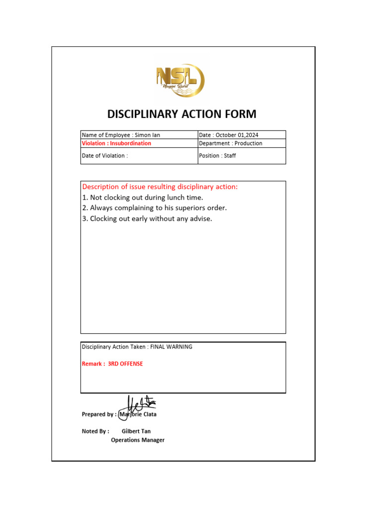 Disciplinary Action: Final Warning for Insubordination | PDF