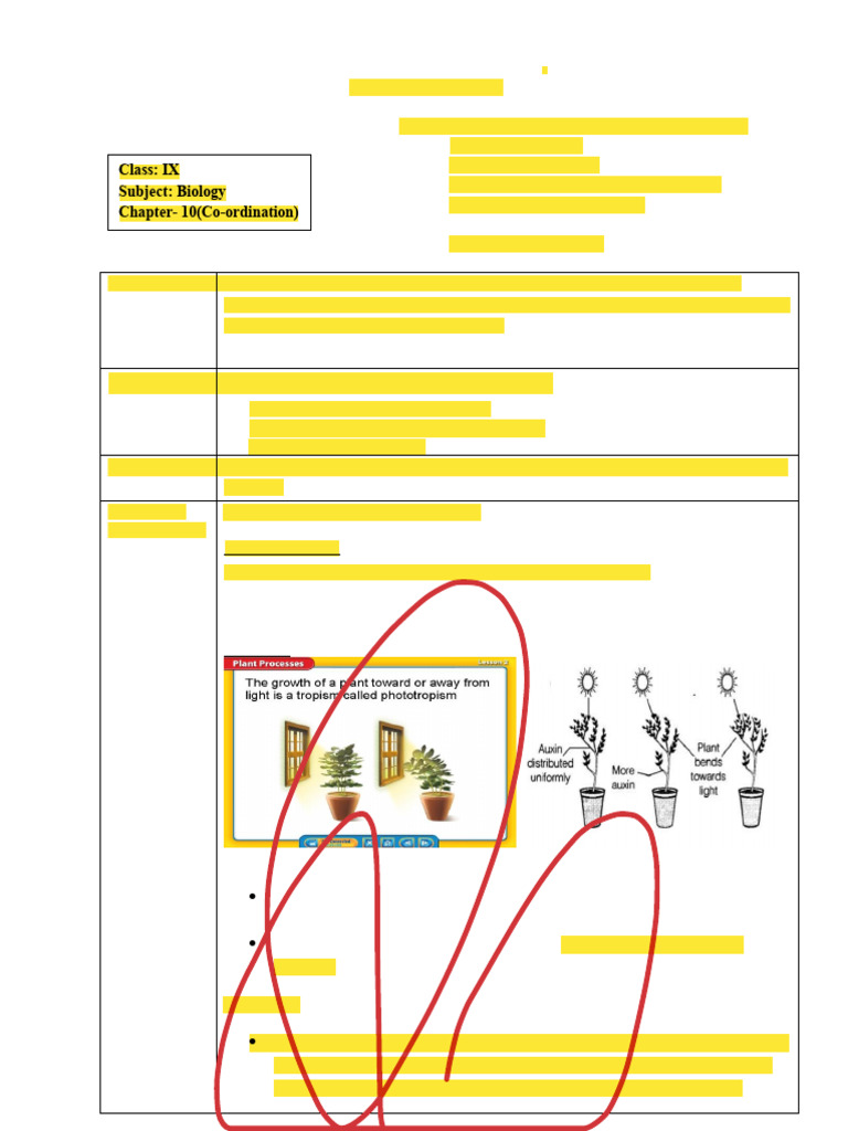 Coordination in Plants and Animals Lesson Plan | PDF | Nervous System ...