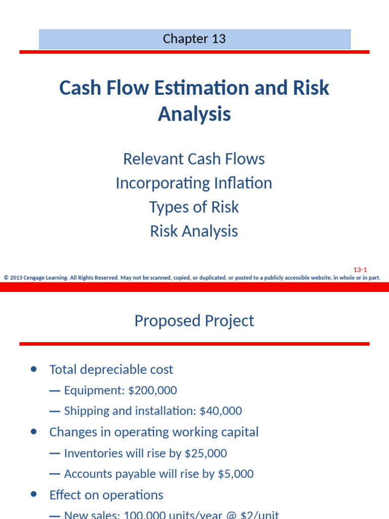 Cash Flow Analysis and Risk Assessment | PDF | Net Present Value ...