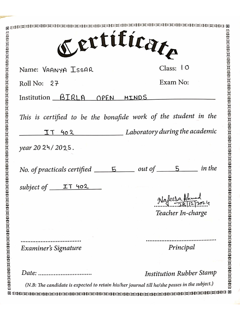 Grade 10 - Practical File | PDF