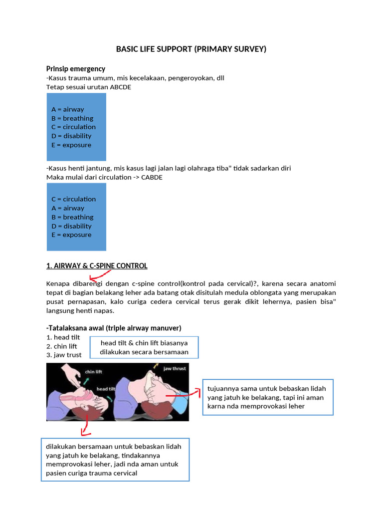 Panduan BLS: Survei Utama ABCDE | PDF