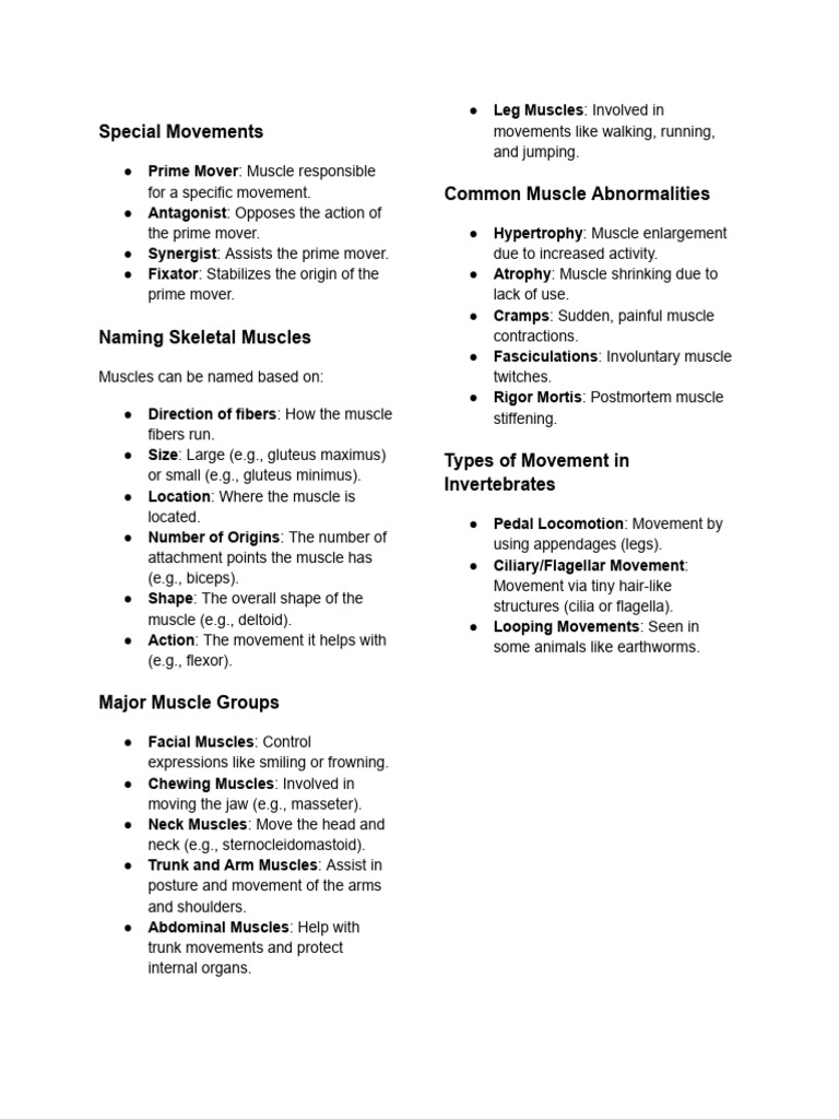 Understanding Muscle Functions and Types | PDF