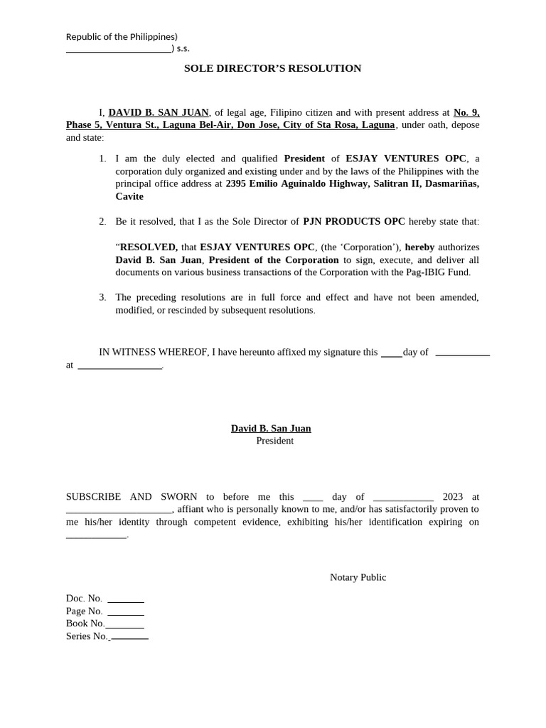 Sole Director's Resolution for ESJAY VENTURES | PDF