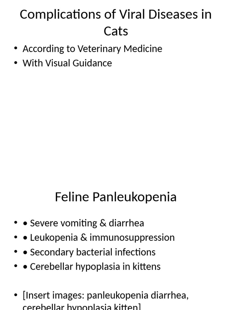 Fresh Look at Complications Of Viral Diseases In Cats 1