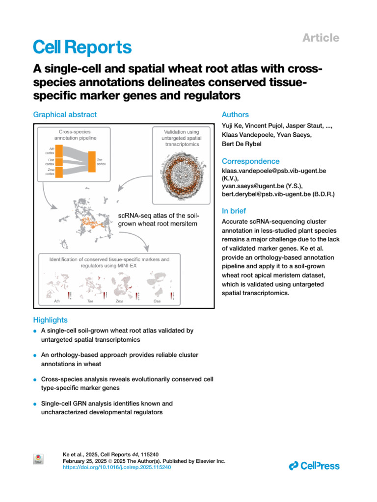 Wheat Root Atlas: Single-Cell Insights | PDF | Root | Arabidopsis Thaliana