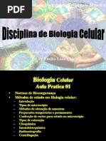 Biologia - Tipos de Microscópios