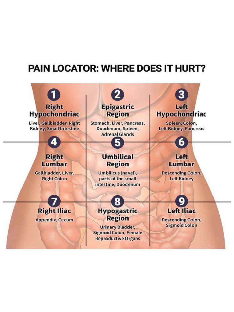 Pain Locator Where Does It Hurt | PDF