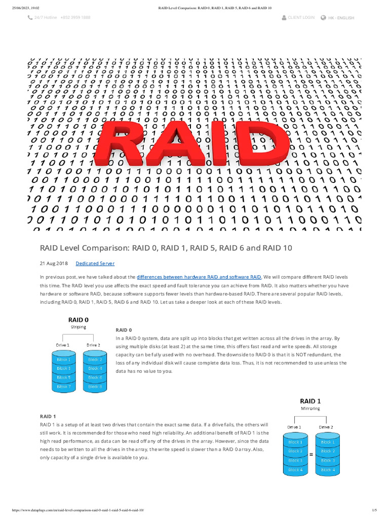 RAID Level Comparison Guide | PDF | Data Management | Classes Of Computers