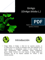 Ginkgo Biloba