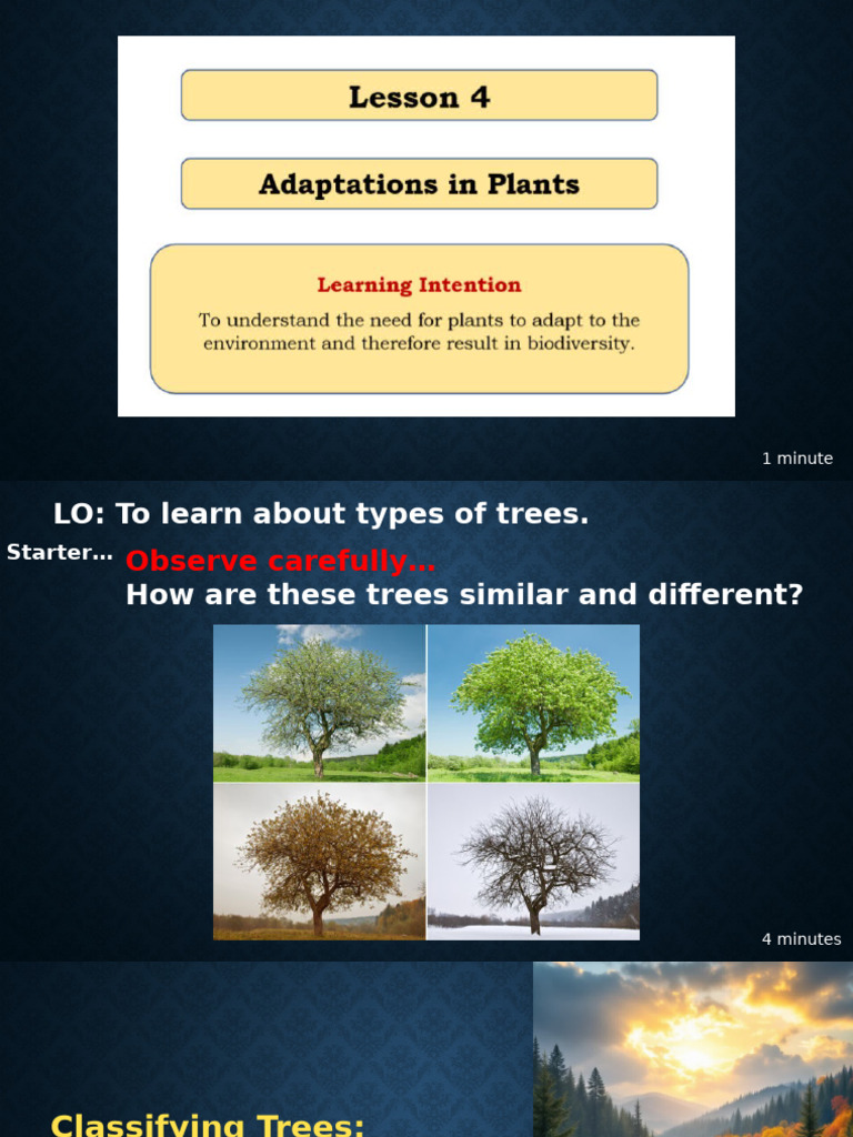 3. Deciduous and Evergreen Trees | PDF | Leaf | Trees