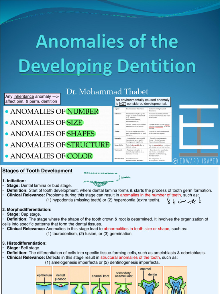 Tooth Development Anomalies Explained | PDF | Human Tooth | Dental Anatomy