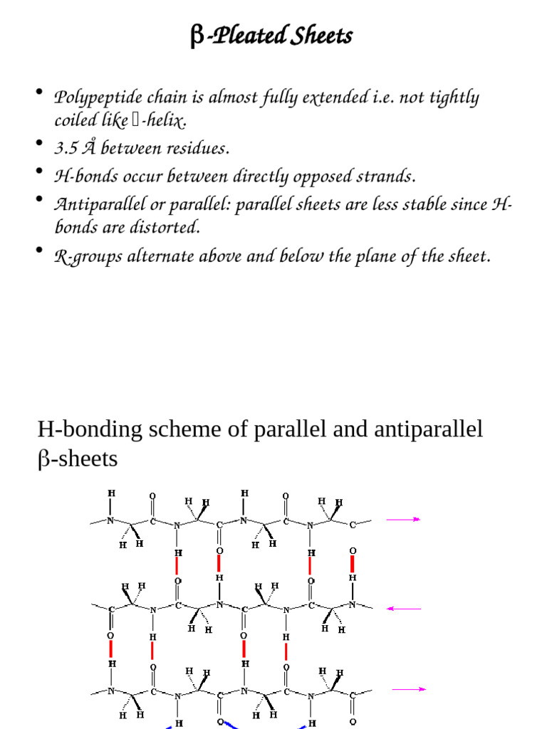 Biophysics Prot2 | PDF | Beta Sheet | Protein Folding
