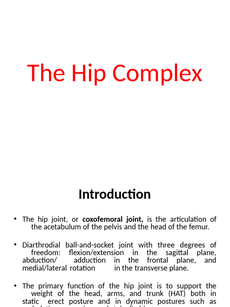 Anatomy and Function of the Hip Joint | PDF | Pelvis | Hip