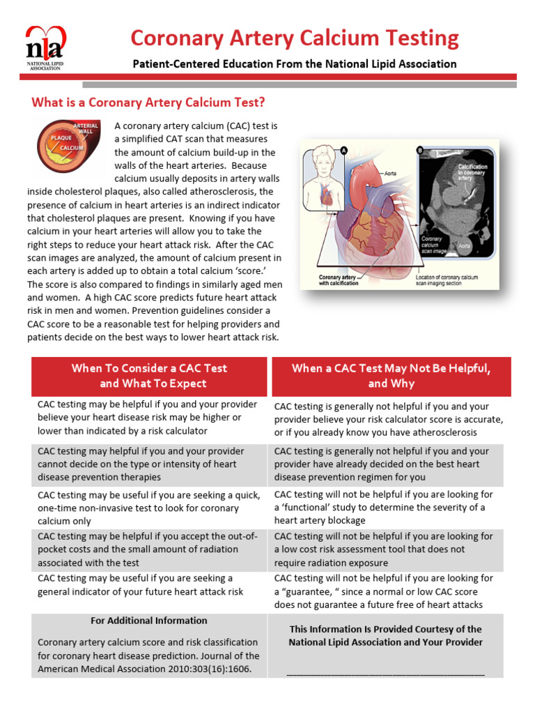 Understanding Coronary Artery Calcium Test | PDF | Atheroma | Heart