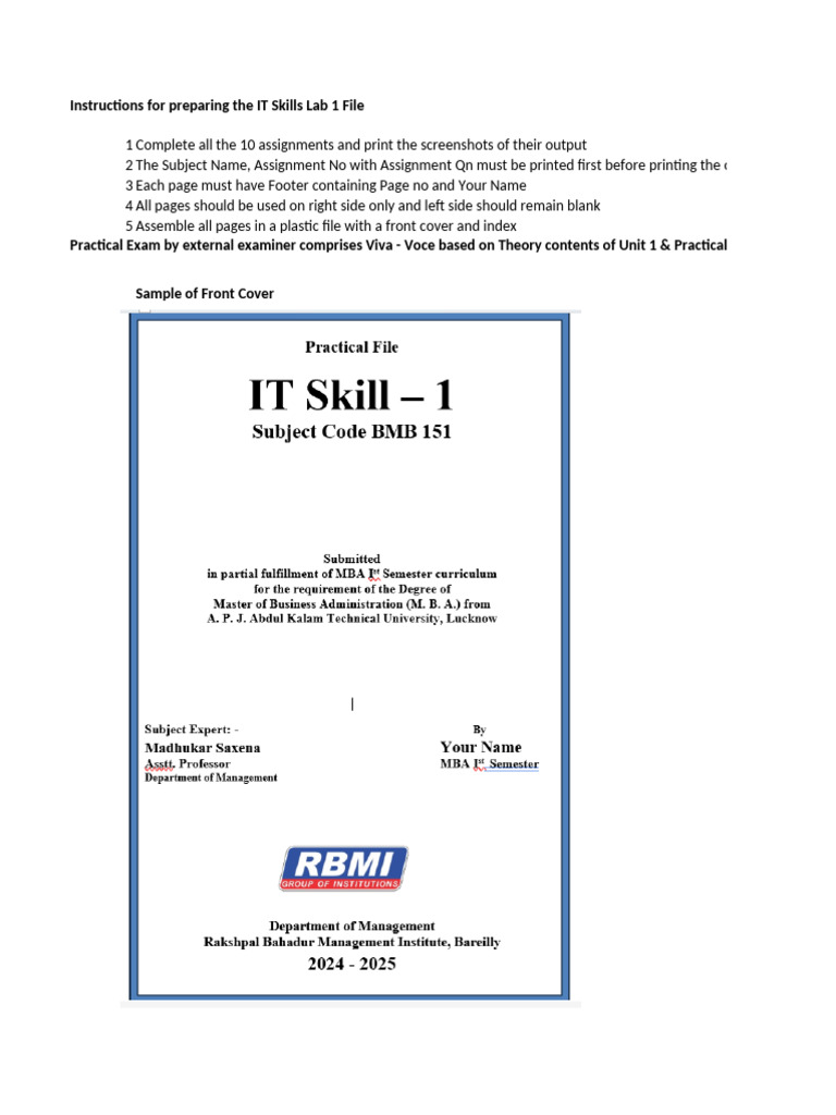 IT Skills Lab 1 Assignment Guidelines | PDF