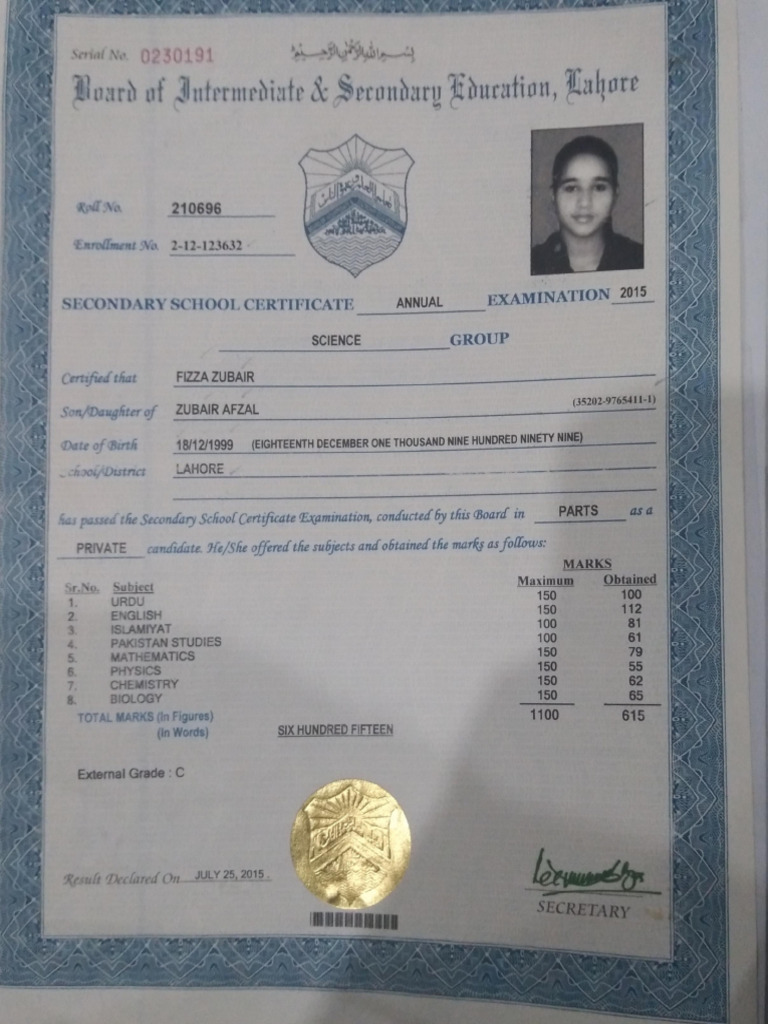 2015 Secondary School Certificate Results | PDF | Qualifications | Schools
