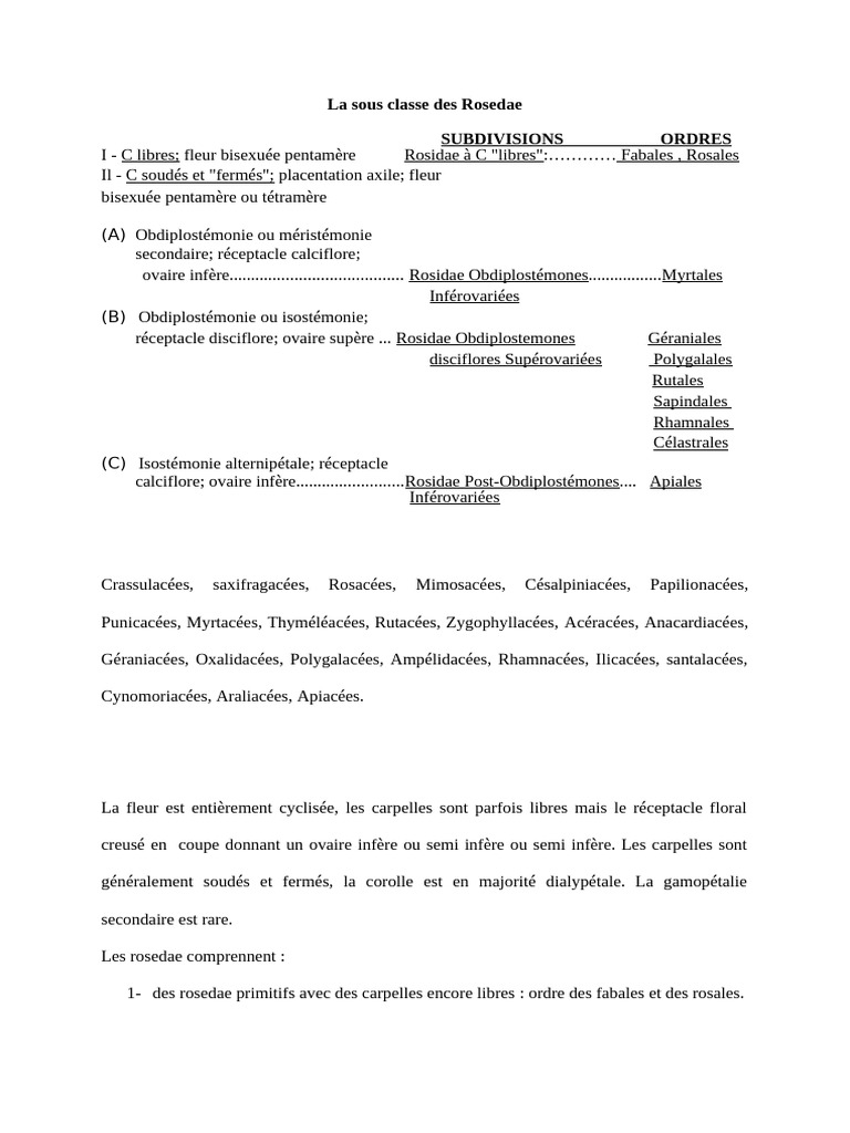 Classification des Rosedae et caractéristiques | PDF | Rose ...