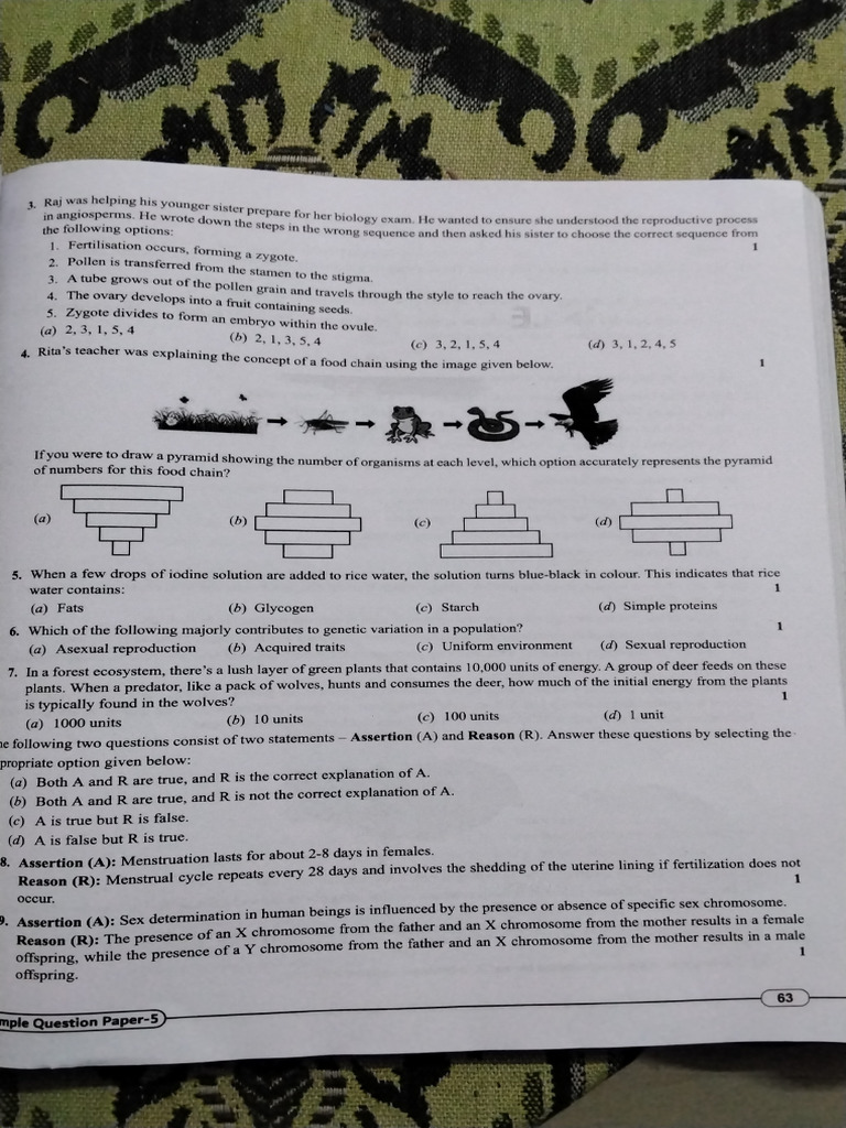 Poopppppppppp | PDF