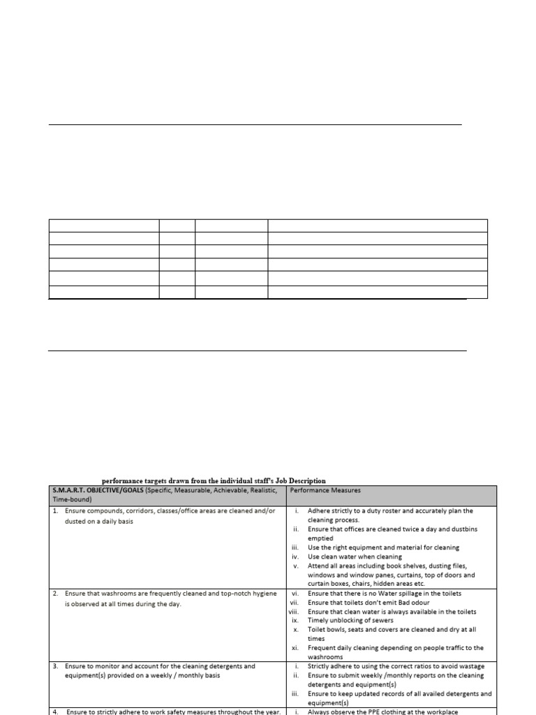 2023 Cleaner Performance Scorecard | PDF | Leadership | Business