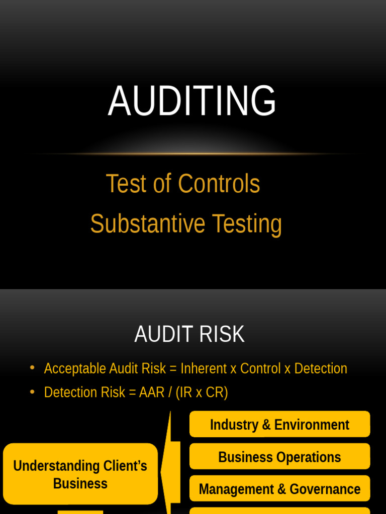 Internal Control Testing and Auditing Guide | PDF | Internal Control ...