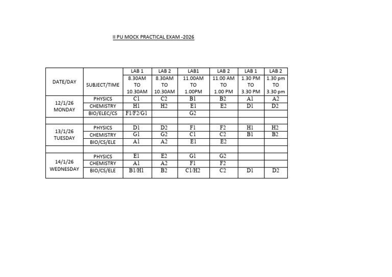 II Pu Mock Practical Exam-2026-1 | PDF