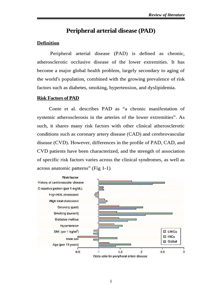 Peripheral Arterial Disease Overview | PDF | Human Diseases And ...