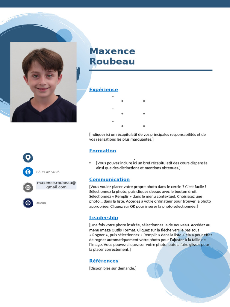 CV de Maxence Roubeau - Compétences et Références | PDF