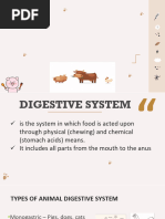 Guinea Pig Digestive System Overview | PDF | Digestion | Stomach