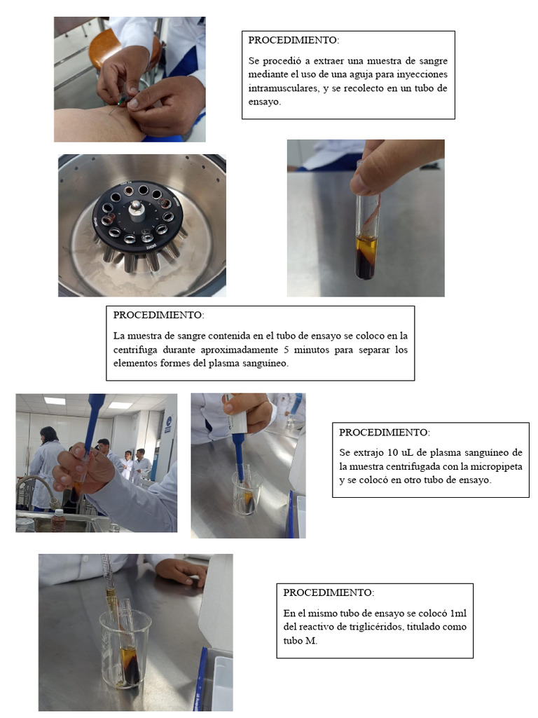 Proced I Mien To | PDF