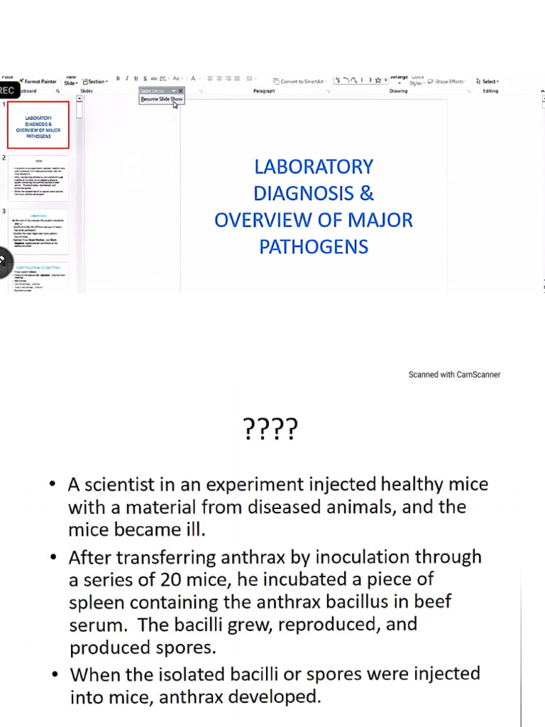 Lab Diag of Patho, Staph Aureus | PDF