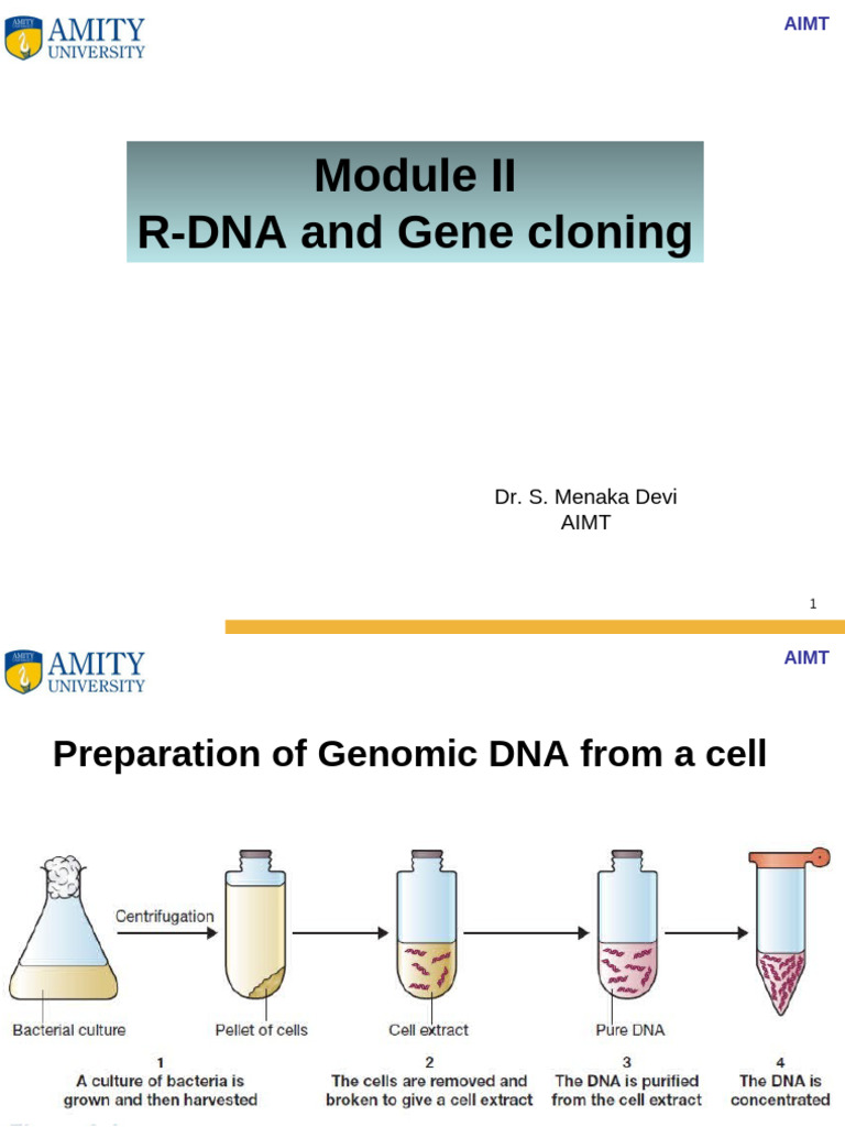 Gene Cloning Techniques and Vectors | PDF | Molecular Cloning | Plasmid