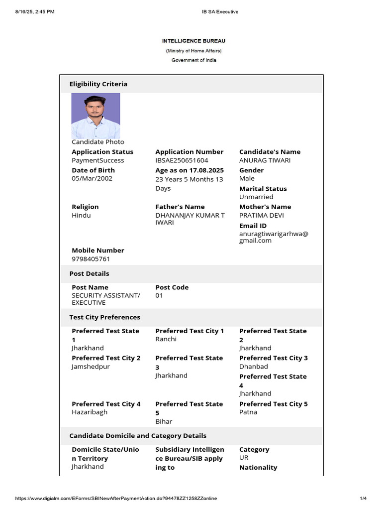 IB Security Assistant Application Details | PDF