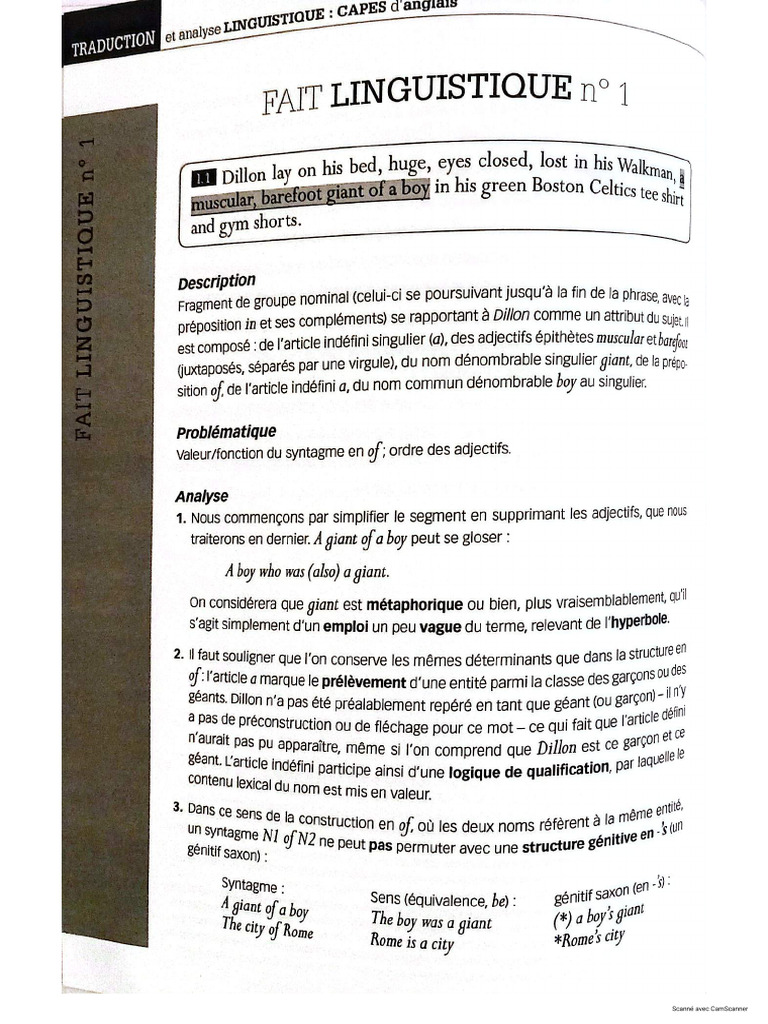 Sujet 3 Faits Linguistiques | PDF