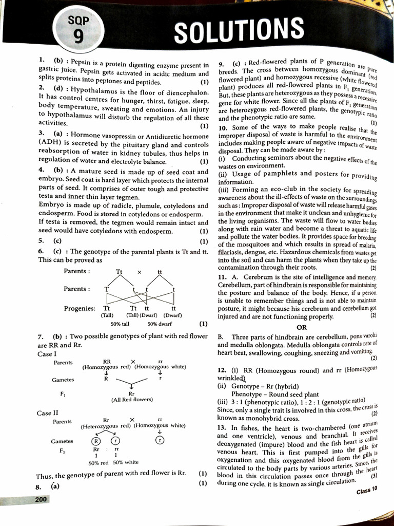 SQP 9 Solutions | PDF