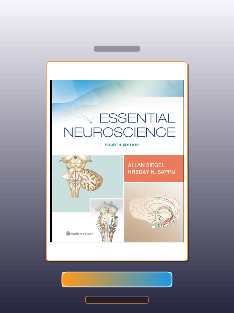 Test Bank for Essential Neuroscience Fourth Edition | PDF | Multiple ...