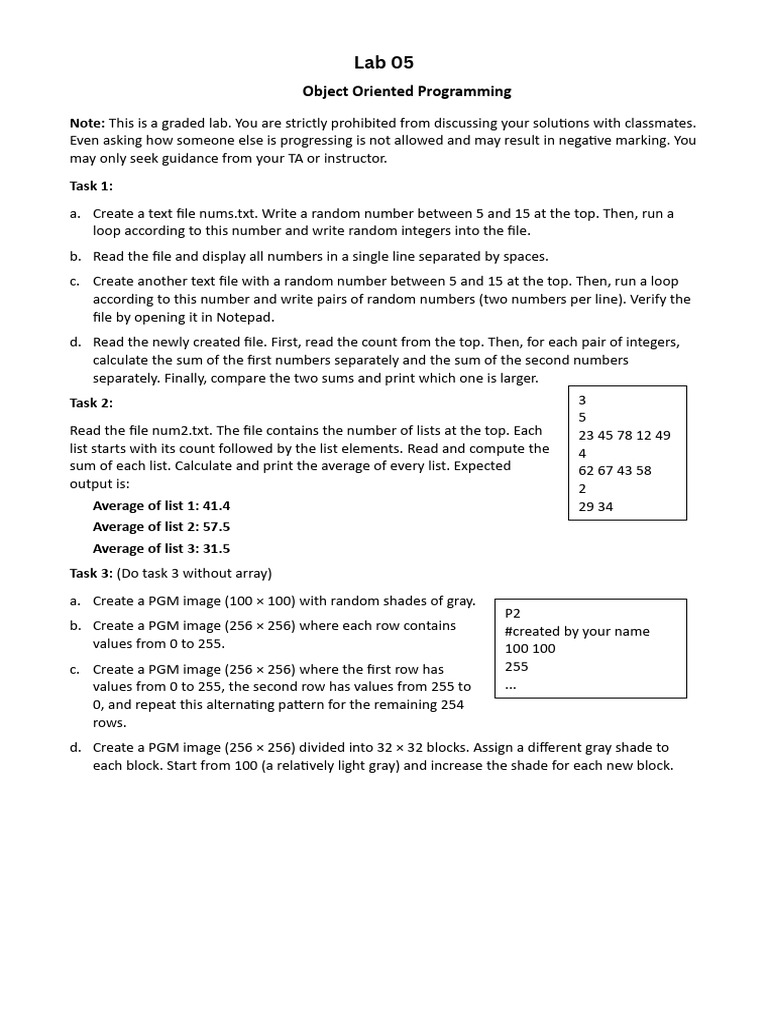 LAB 05 | PDF | Computer Programming | Computing