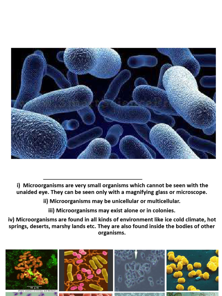 Microorganism Classification Overview | PDF | Microorganism | Bacteria