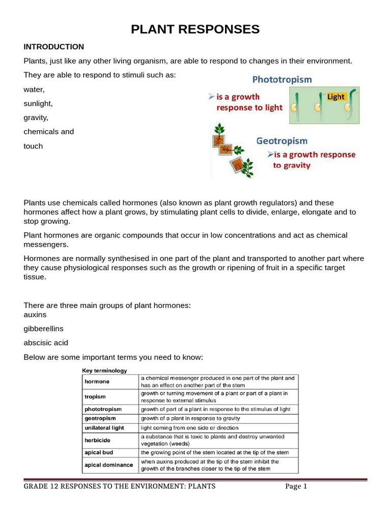 Plant Hormones and Environmental Responses | PDF | Auxin | Plant Hormone