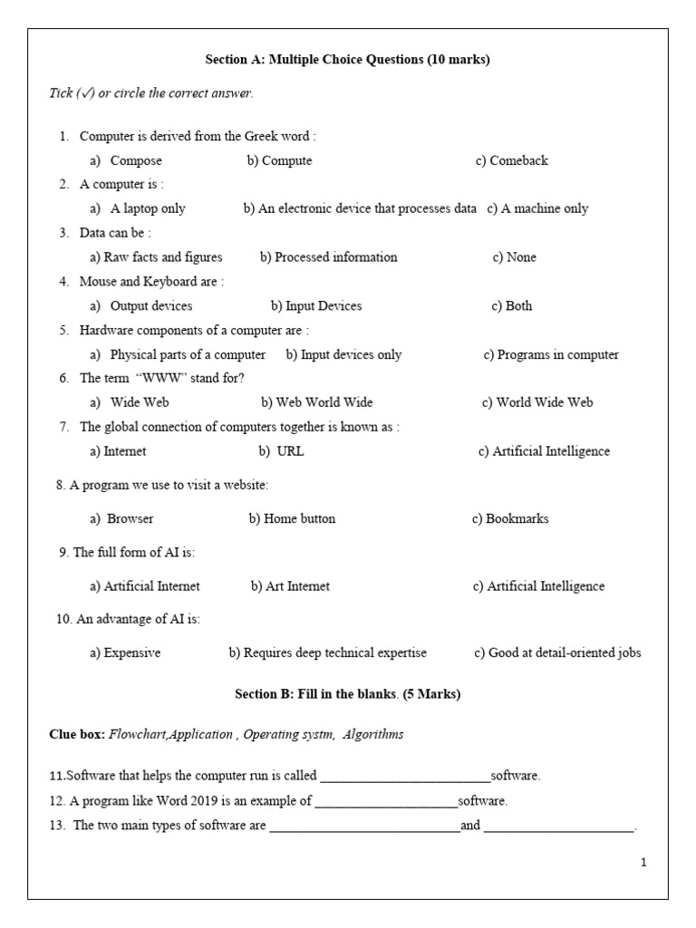 Computer Basics Quiz and Activities | PDF | World Wide Web | Internet & Web