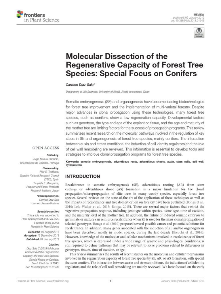 C. Díaz-Sala - Molecular Dissection of the Regenerative Capacity of ...