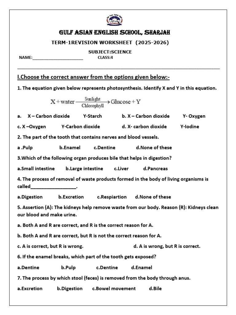 Science Revision Worksheet for Grade 4 | PDF | Plants | Digestion