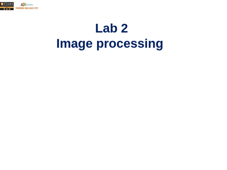 10 Lab 2 Assistance | PDF