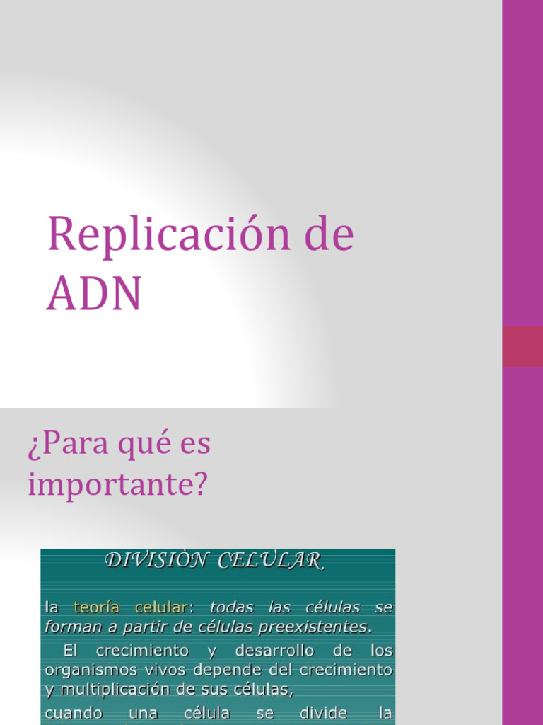 3.3 Replicación del ADN | PDF | Replicación De Adn | Adn