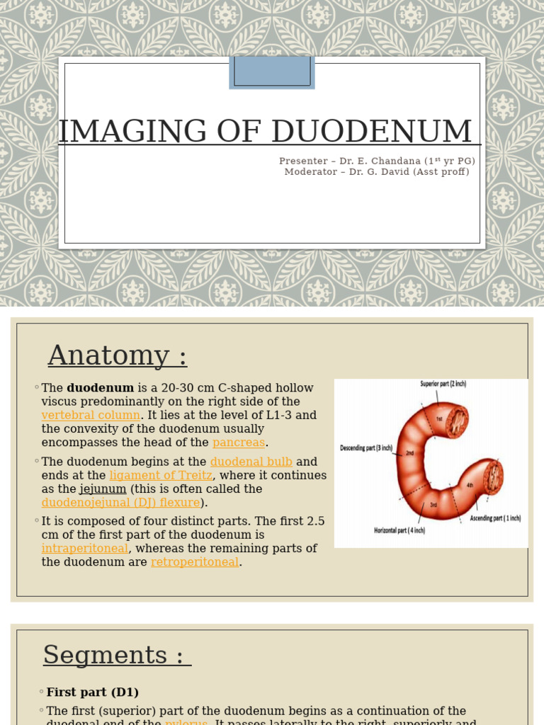 Duodenum Imaging and Anatomy Overview | PDF | Pancreas | Organ (Anatomy)