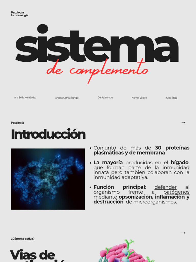 Activación y Funciones del Sistema de Complemento | PDF | Sistema ...
